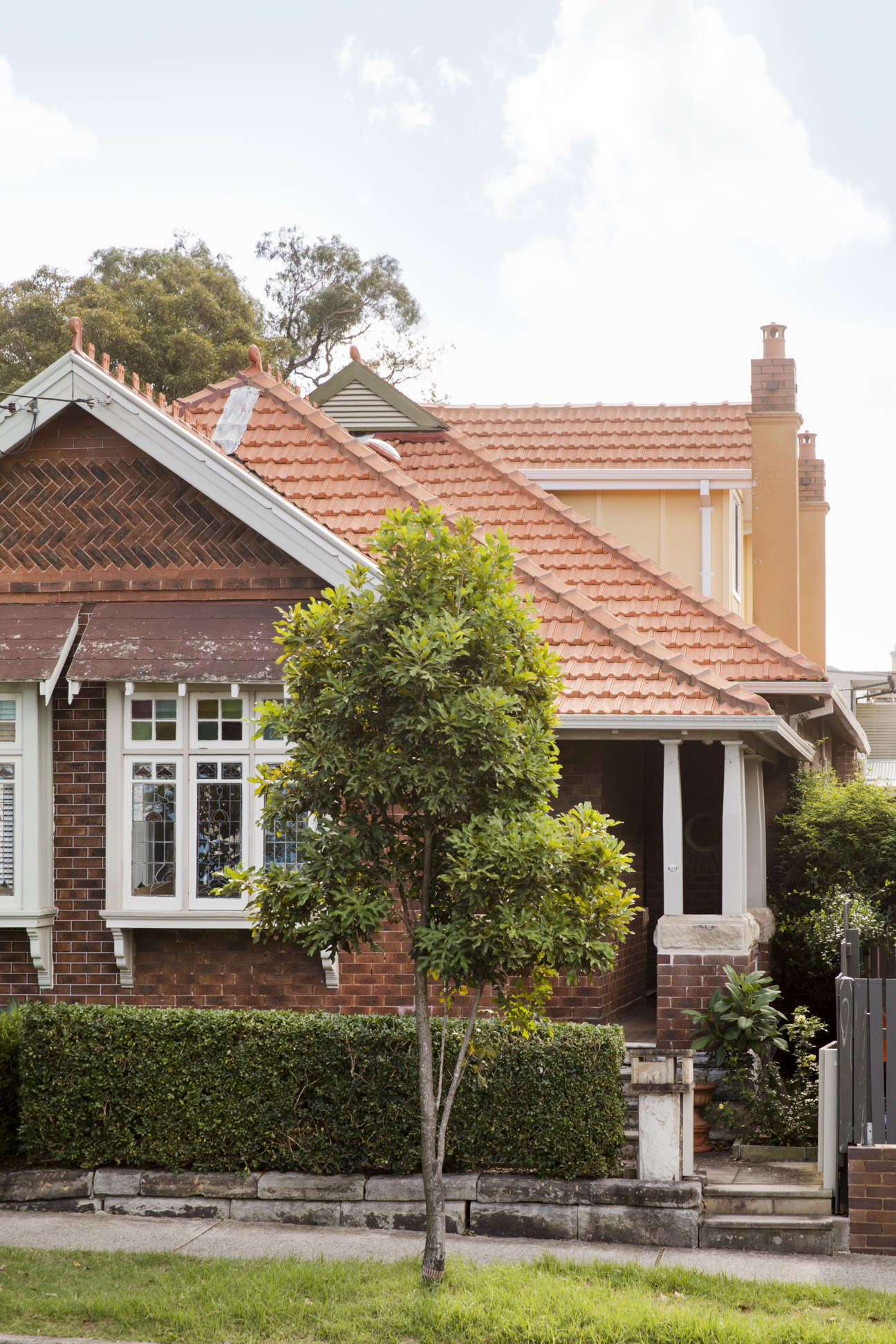 Renovation in Sydney's Crows Nest