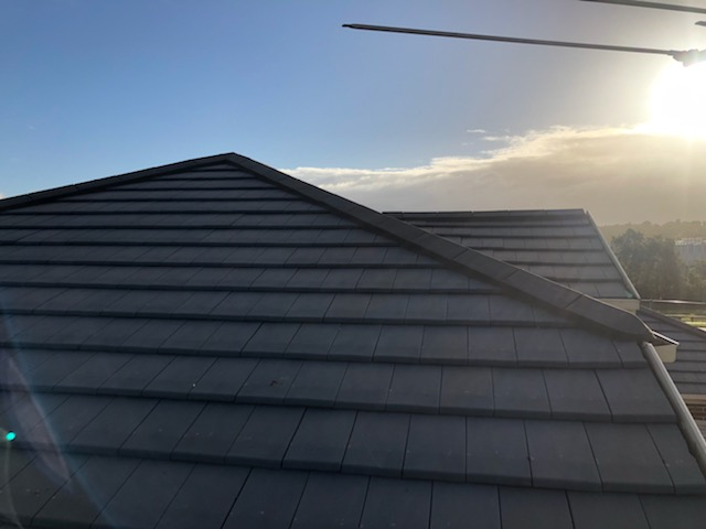 Urban Shingle